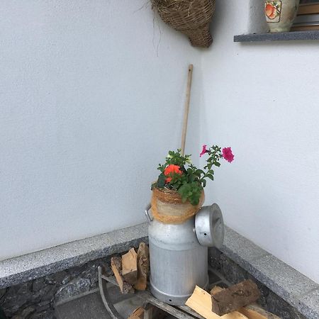Chalets Aue 奇勒谷地哈特 外观 照片